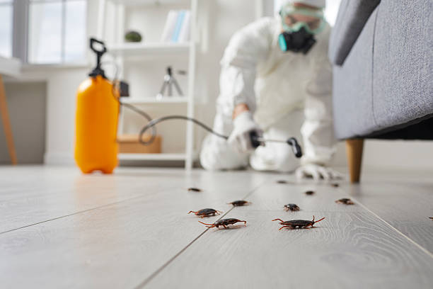 Trusted Termite Control service in Big Lake, MN - Nex Pest Control